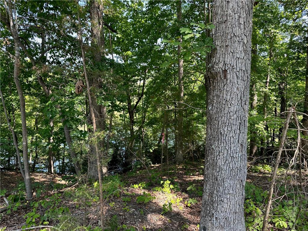 6825 B Red Bank Road Germanton, NC 27019 - Photo 12 of 14 View of the neighboring pond