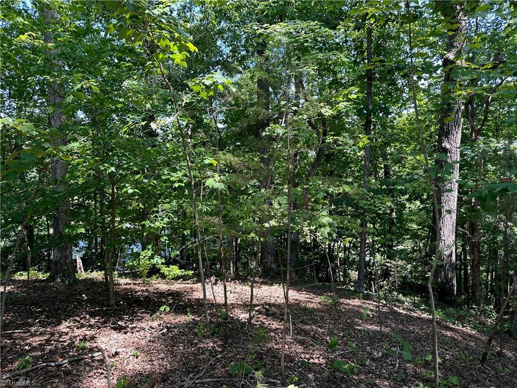 6825 B Red Bank Road Germanton, NC 27019 - Photo 13 of 14 Gallery Image 13