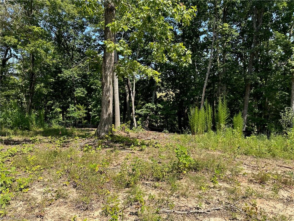 6825 B Red Bank Road Germanton, NC 27019 - Photo 14 of 14 Gallery Image 14