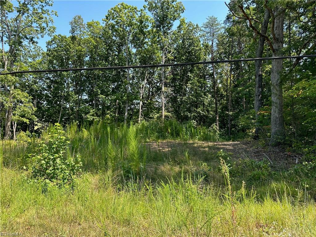 6825 B Red Bank Road Germanton, NC 27019 - Photo 2 of 14 Gallery Image 2