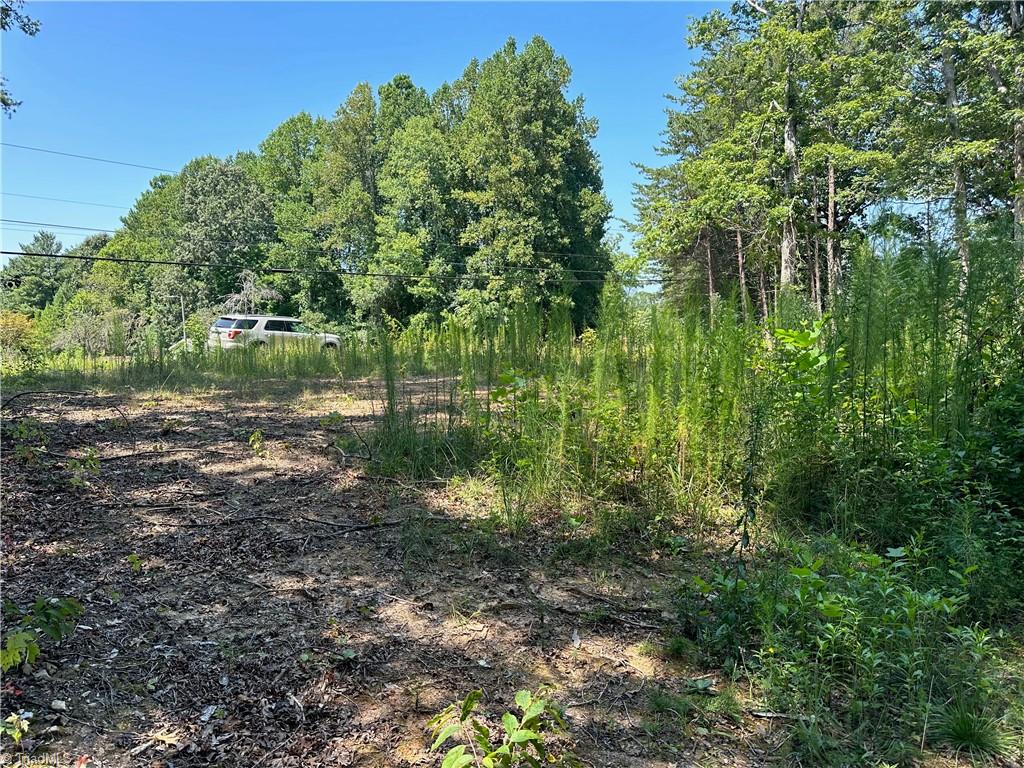 6825 B Red Bank Road Germanton, NC 27019 - Photo 4 of 14 Looking toward Red Bank Road