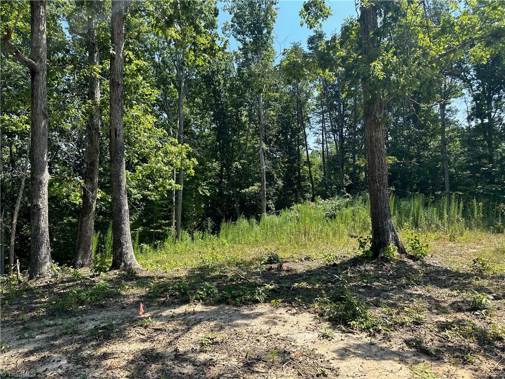 6825 B Red Bank Road Germanton, NC 27019 - Photo 5 of 14 Red survey flags separate the 2 lots.