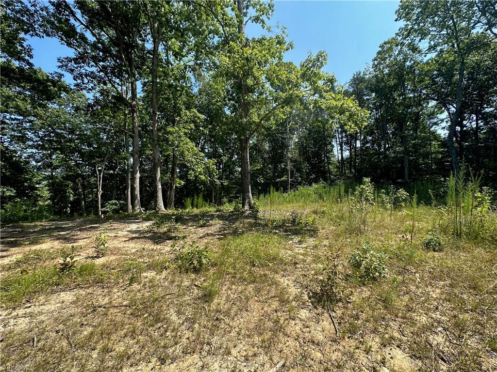 6825 B Red Bank Road Germanton, NC 27019 - Photo 6 of 14 Gallery Image 6