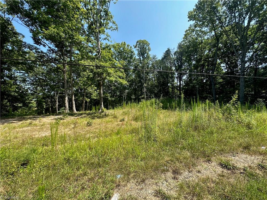 6825 B Red Bank Road Germanton, NC 27019 - Photo 7 of 14 Gallery Image 7