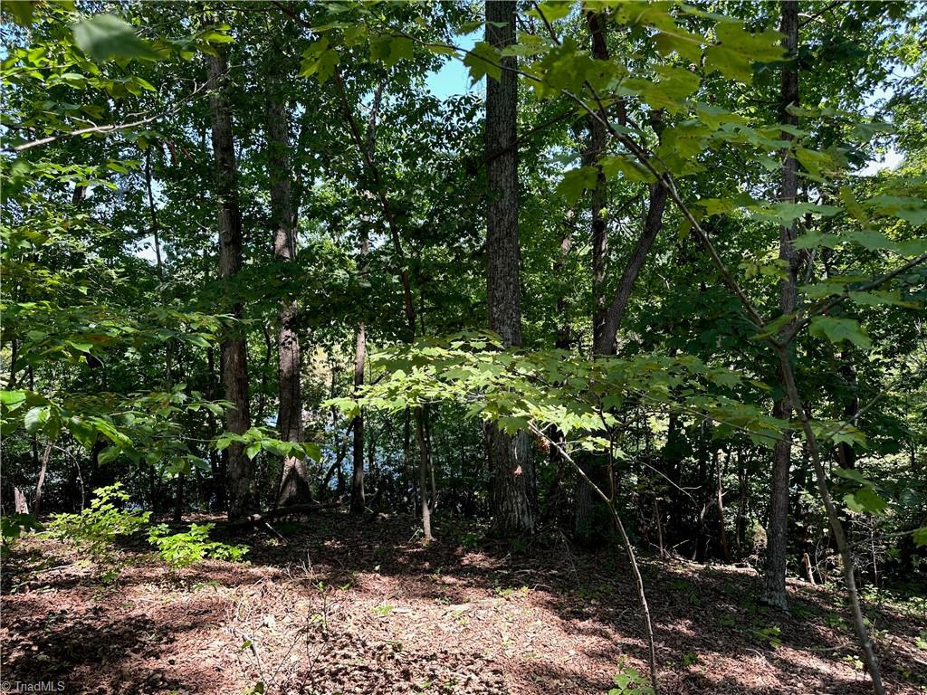 6825 B Red Bank Road Germanton, NC 27019 - Photo 8 of 14 Gallery Image 8