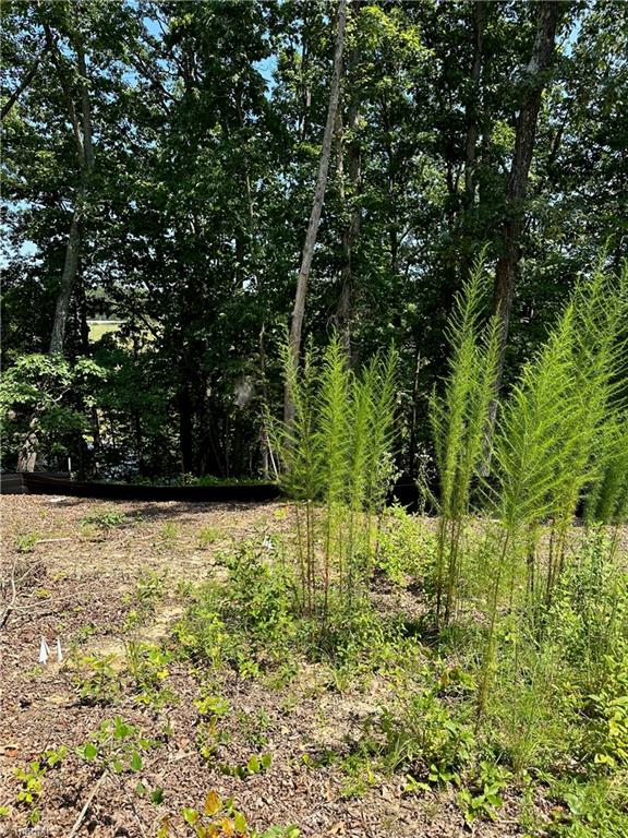 6825 B Red Bank Road Germanton, NC 27019 - Photo 10 of 14 Gallery Image 10