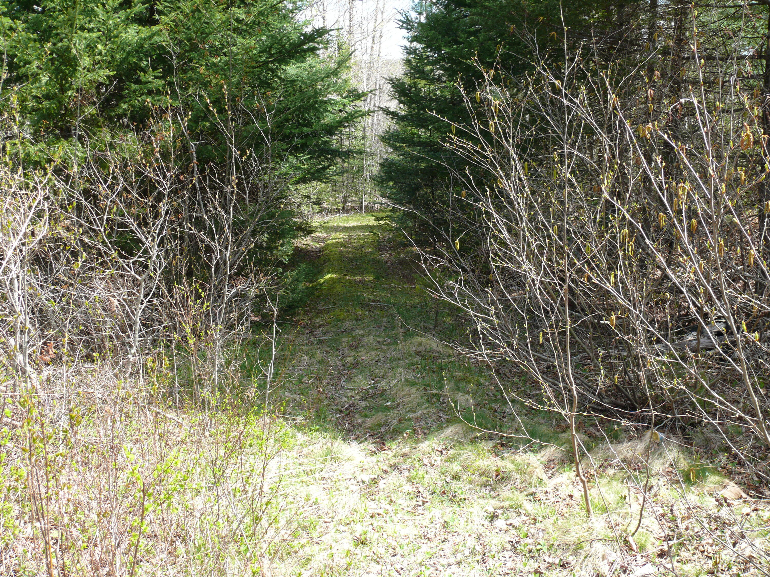 25 Epping Road Columbia Falls, ME 04623 - Photo 20 of 39 P1420396