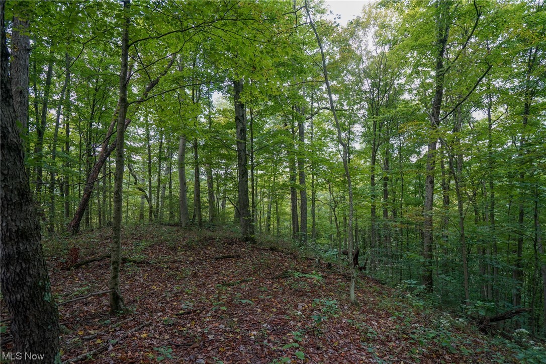 0 Reed Marietta, OH 45750 - Photo 24 of 35 View of nature