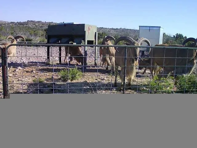 a view of building with outdoor space