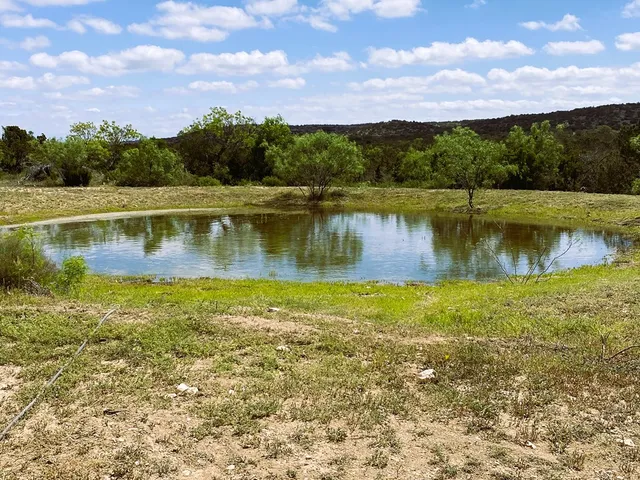 a view of a bunch of trees