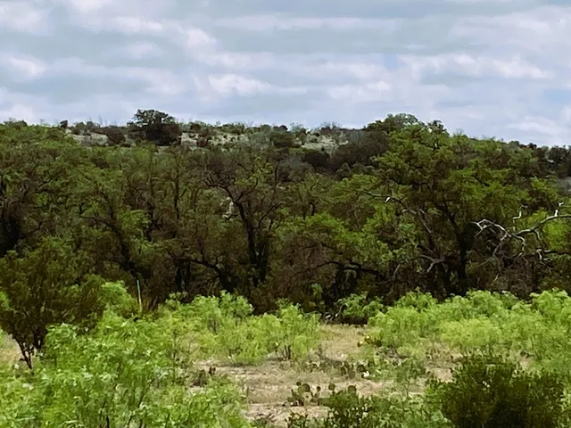 $1,079,000 | 189 Other, Ozona, TX 76943