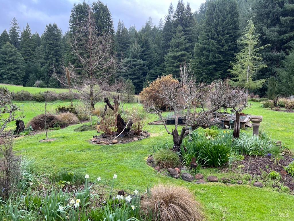 31501 Comptche Ukiah Road Comptche, CA 95427 - Photo 62 of 85