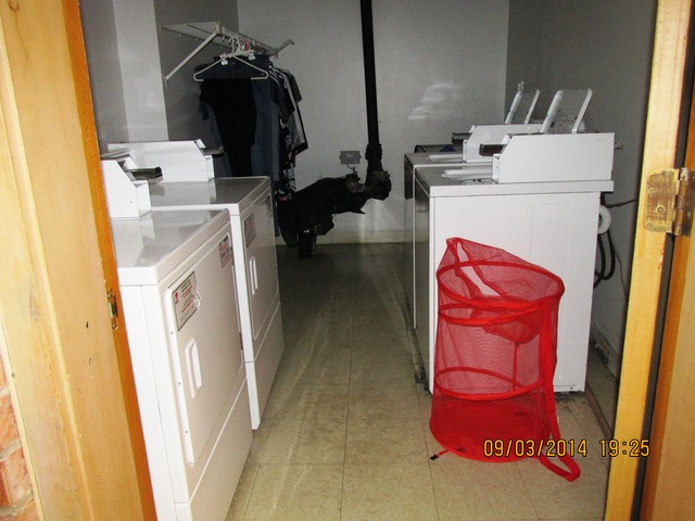 8808 45th Place, Unit 2 Brookfield, IL 60513 - Photo 9 of 10 a utility room with dryer and washer