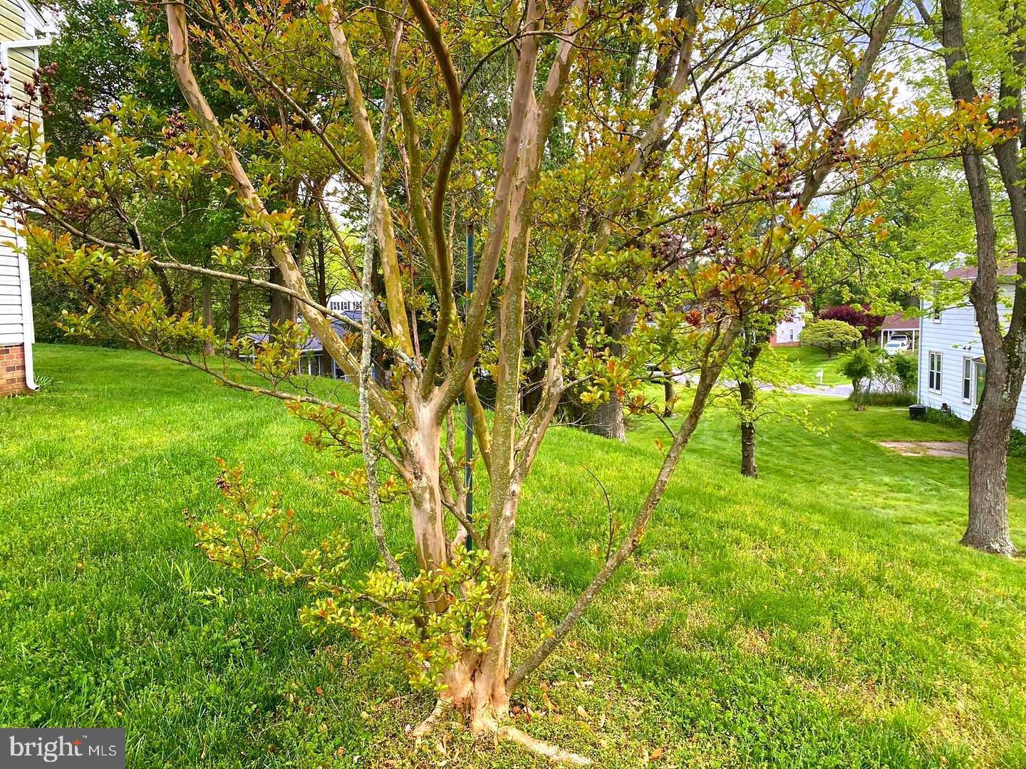 1708 Woodwell Road Silver Spring, MD 20906 - Photo 76 of 81 Gallery Image 76