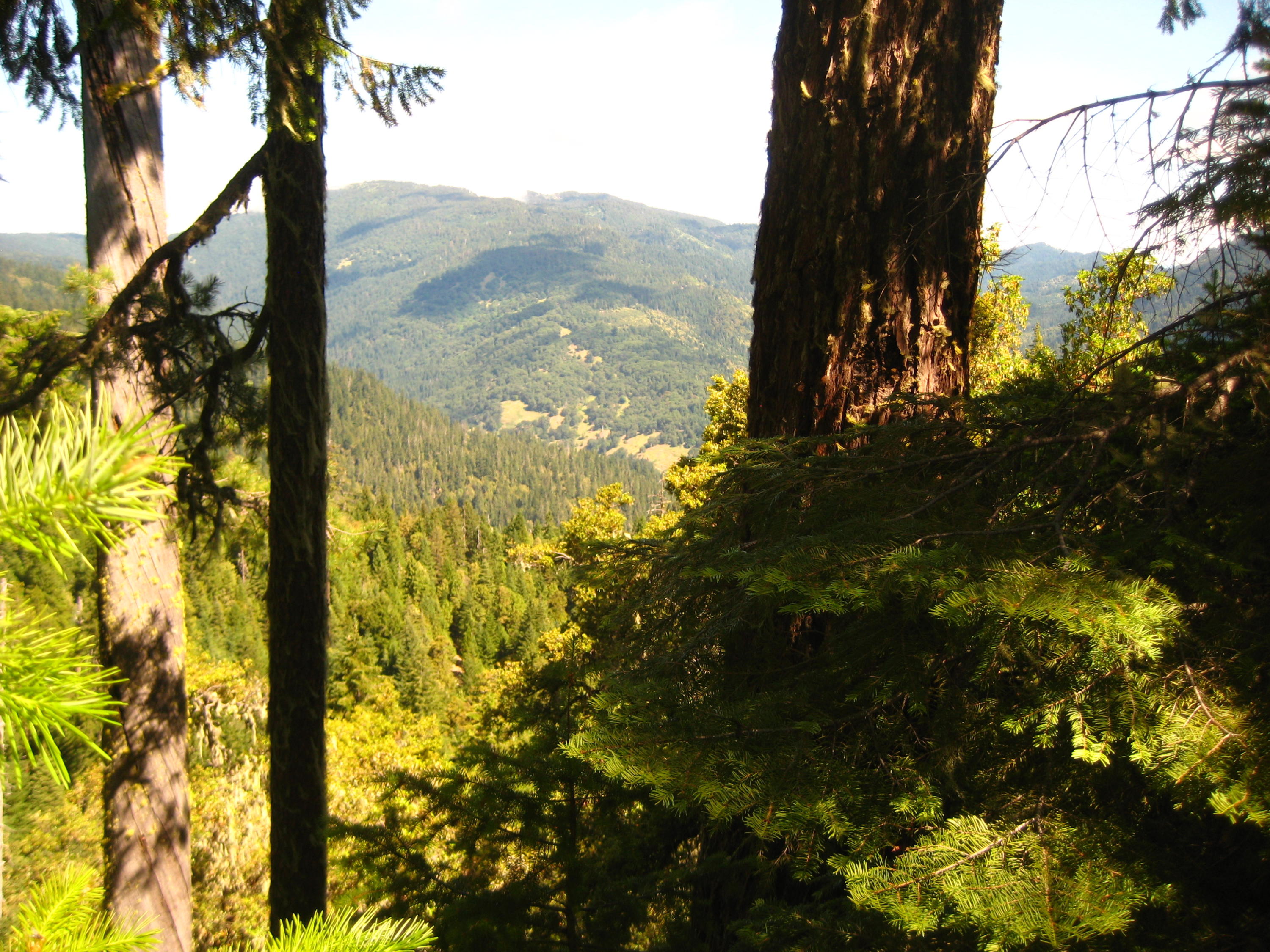 1.7 M Forest Hyampom, CA 96046 - Photo 1 of 6