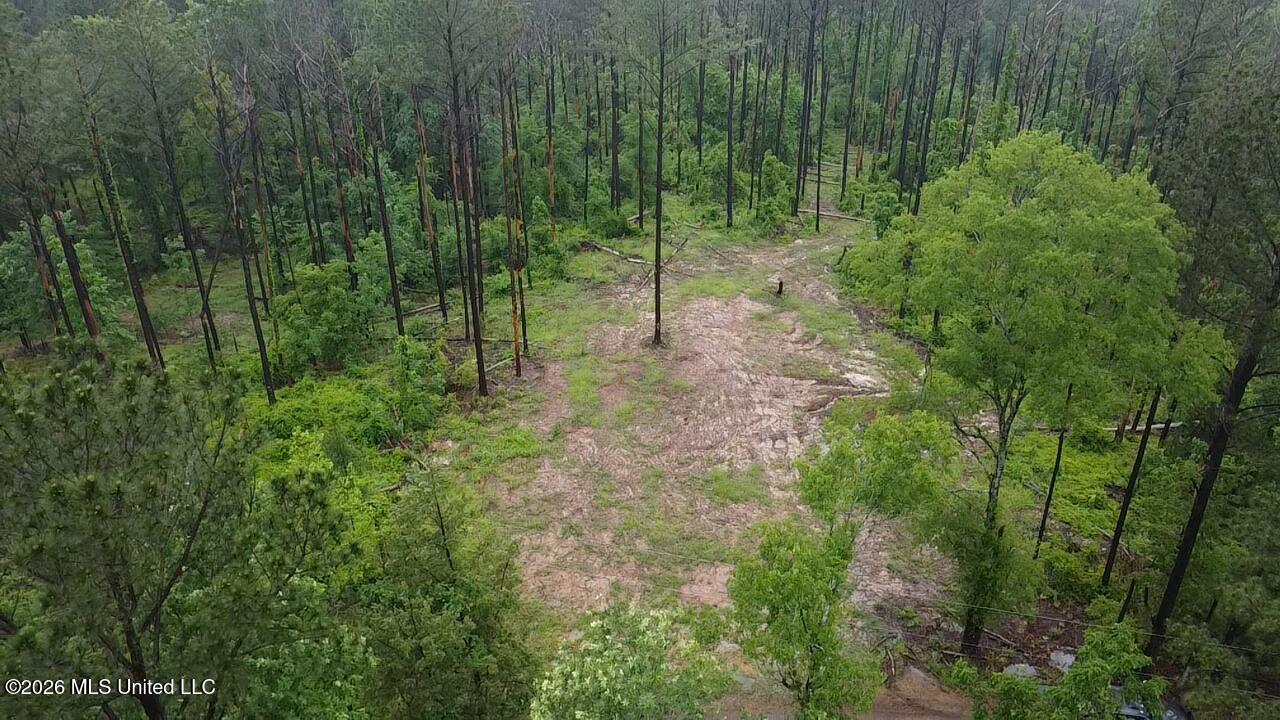 Ford Lane Crystal Springs, MS 39059 - Photo 2 of 15 2026-04-30-12-29-48-782