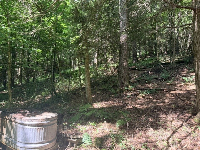 Lot 35 Webster Brook Road Bloomville, NY 13739 - Photo 13 of 42