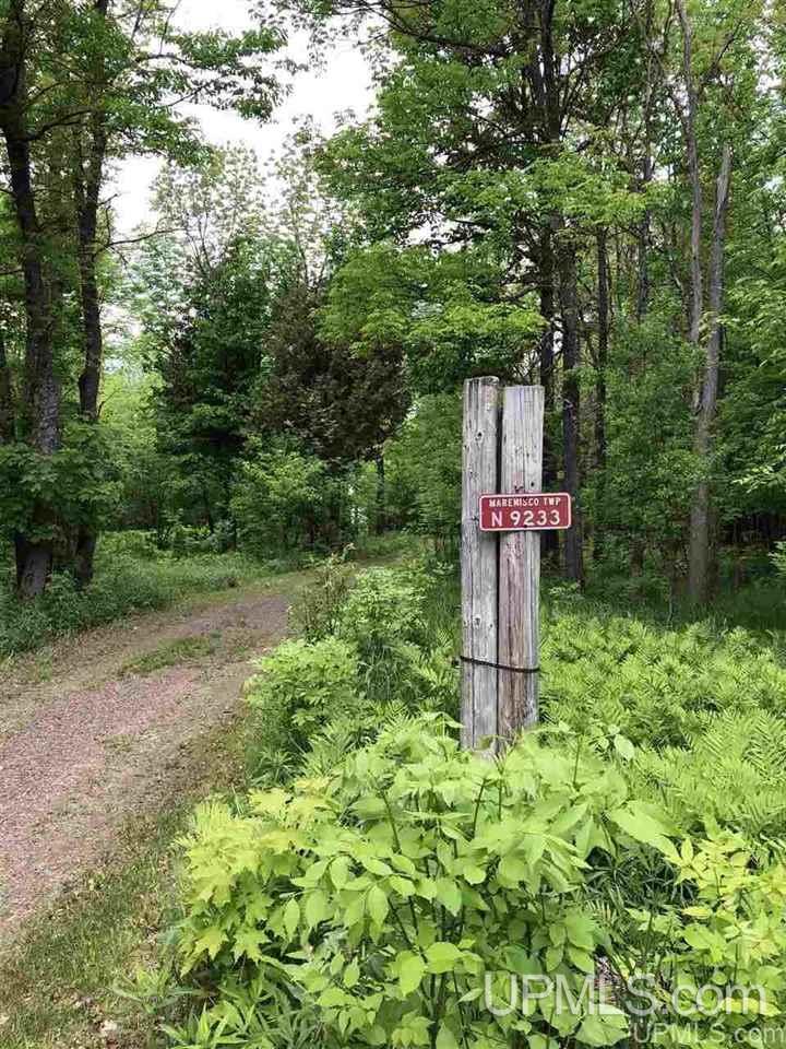9233 East Shore Road Marenisco, MI 49947 - Photo 20 of 21 Gallery Image 20