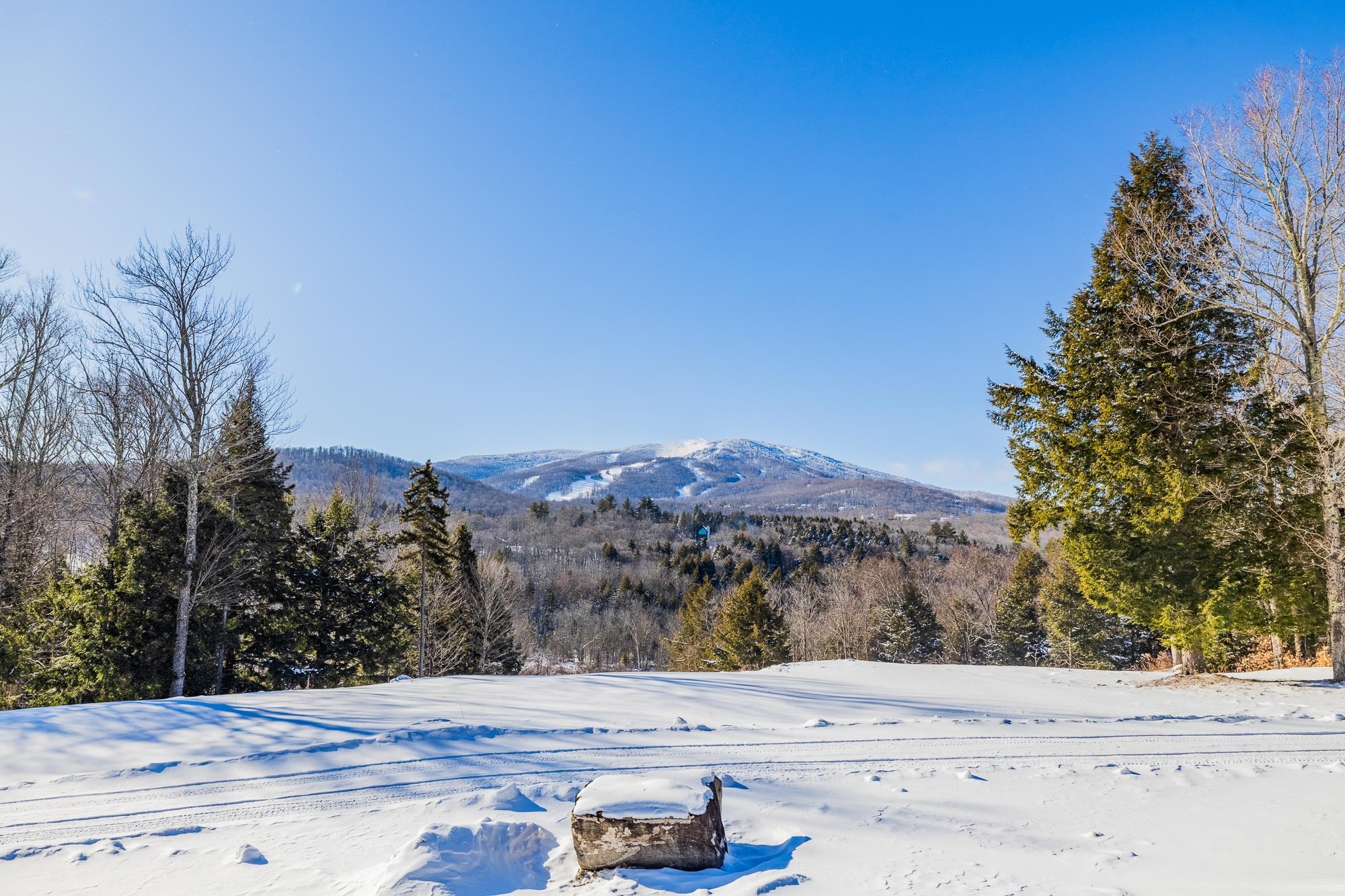 324 Pikes Falls Road Stratton, VT 05343 - Photo 41 of 53