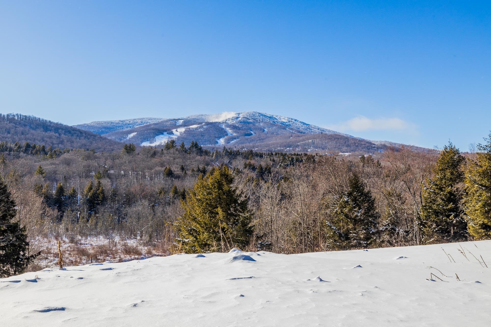 324 Pikes Falls Road Stratton, VT 05343 - Photo 45 of 53