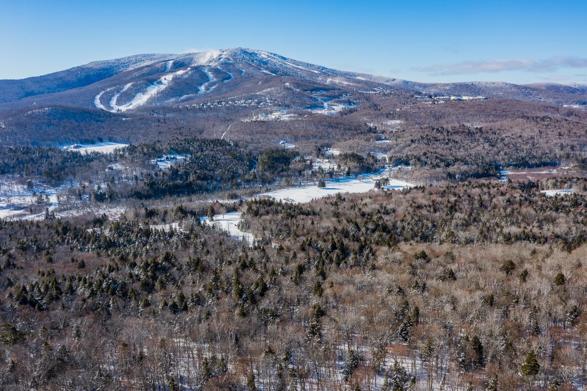 324 Pikes Falls Road Stratton, VT 05343 - Photo 47 of 53
