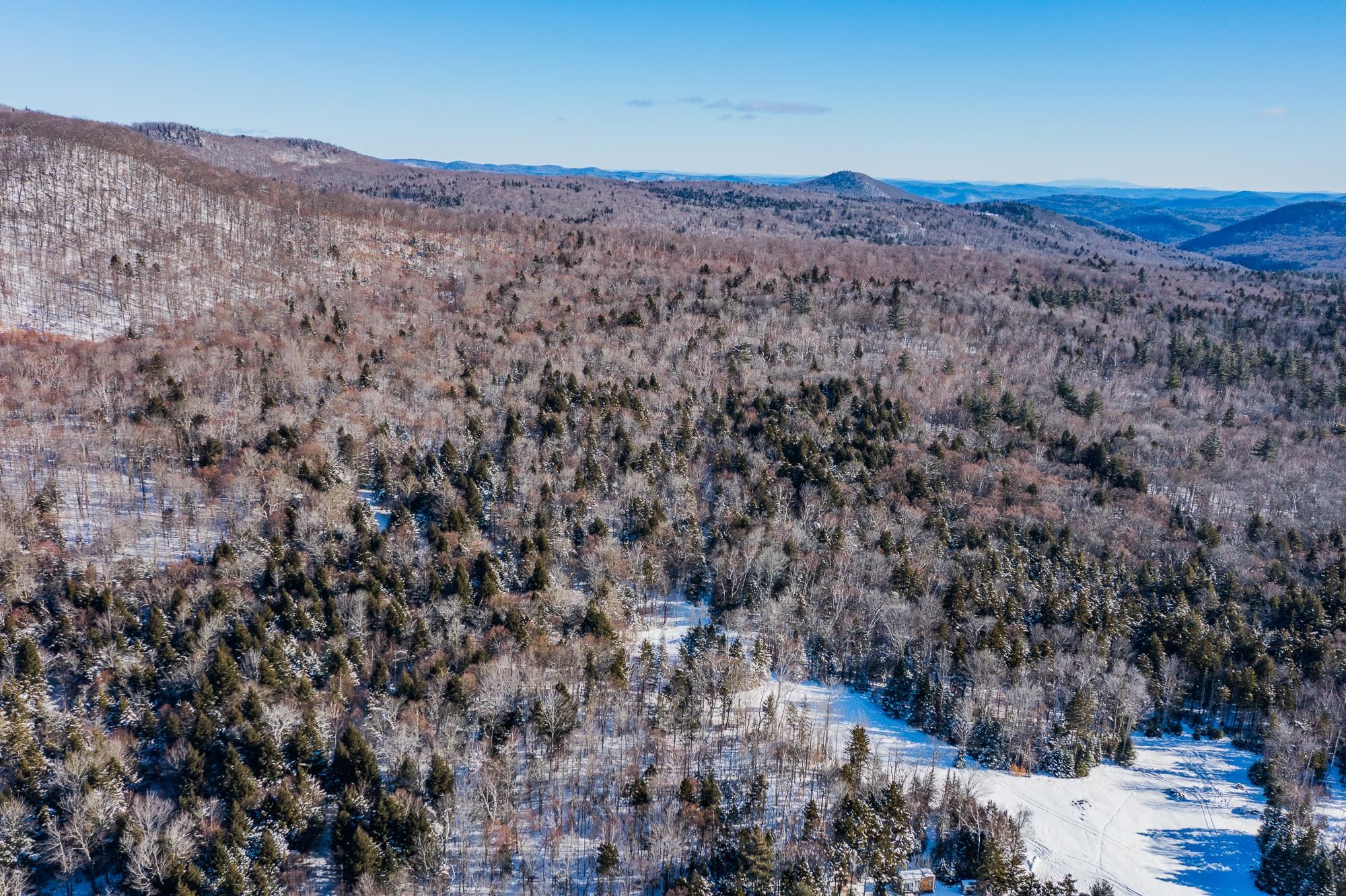 324 Pikes Falls Road Stratton, VT 05343 - Photo 50 of 53