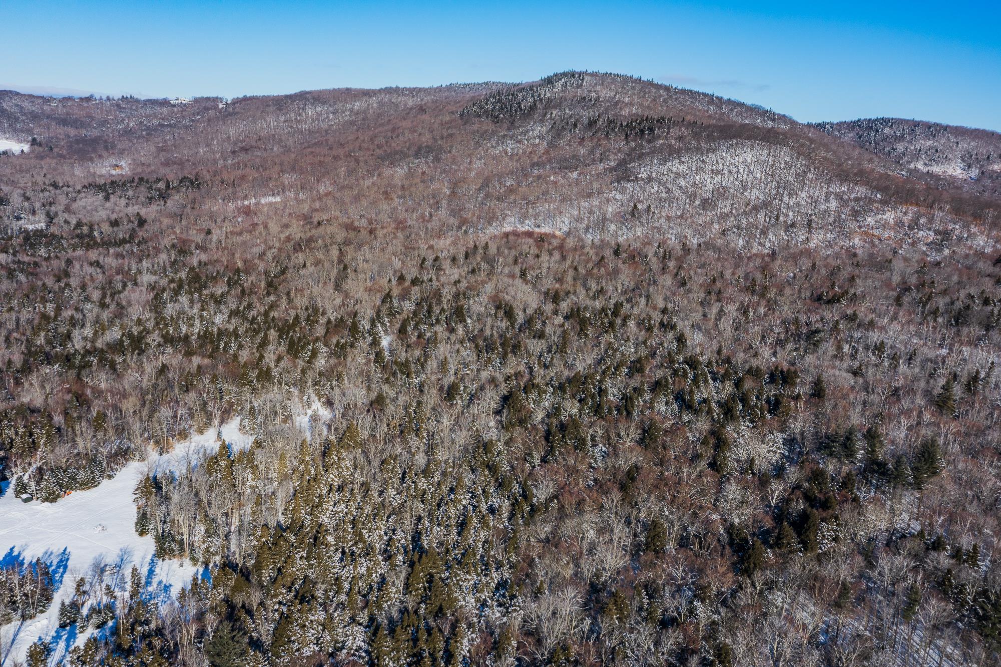324 Pikes Falls Road Stratton, VT 05343 - Photo 52 of 53