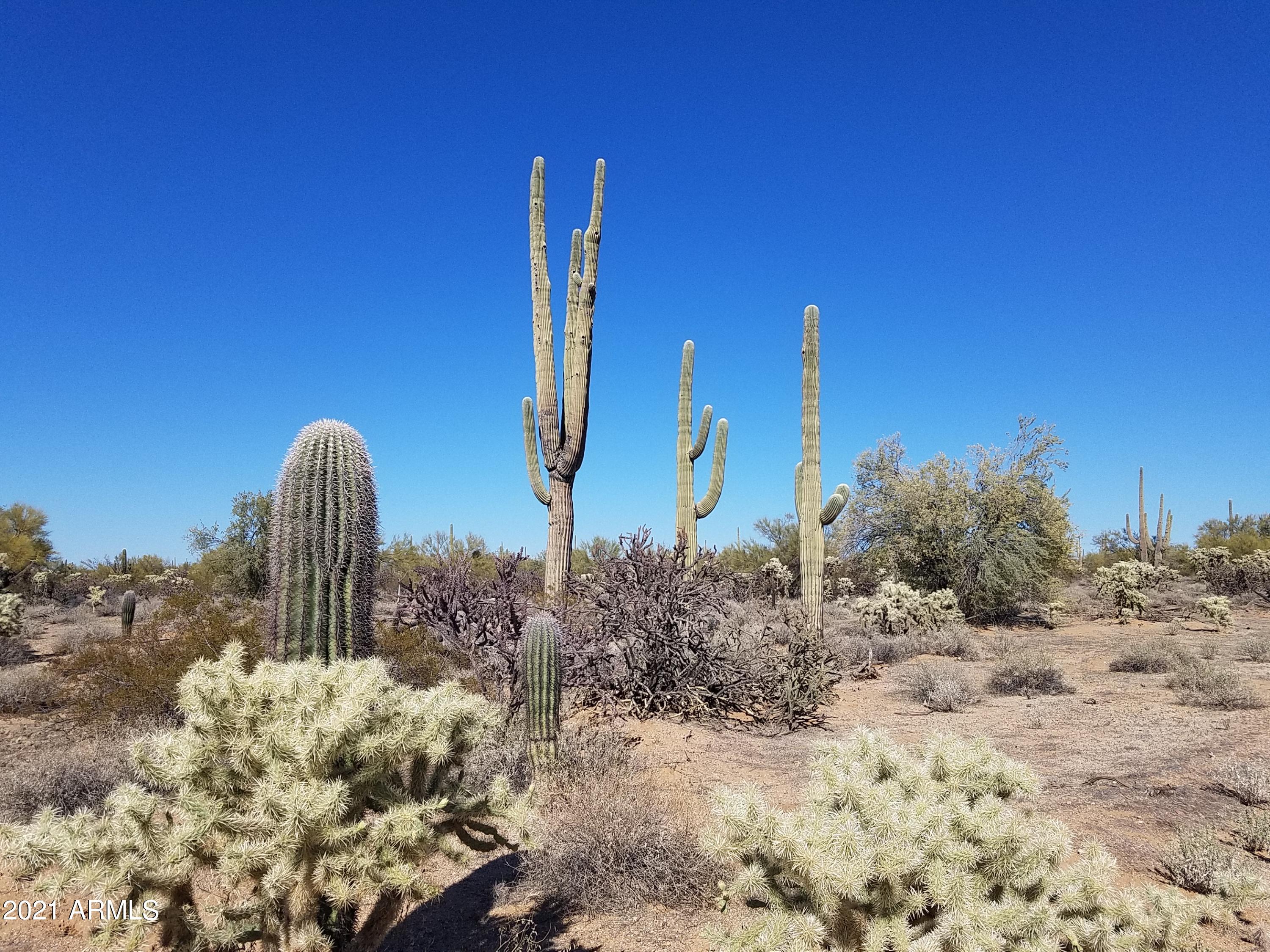 790 South Cattle Tank Road Marana, AZ 85658 - Photo 5 of 28 Otto Pic 2
