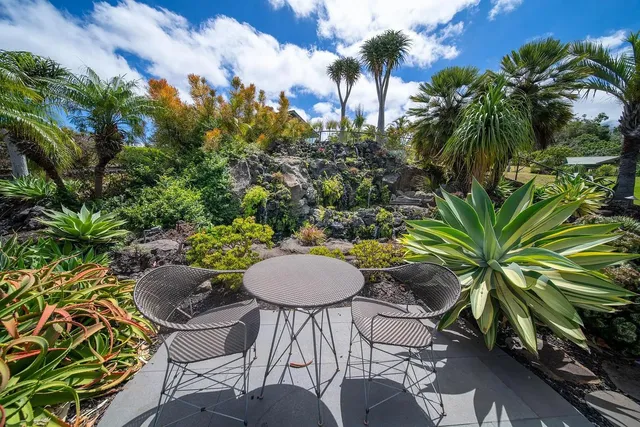 a view of a chairs and table in a backyard