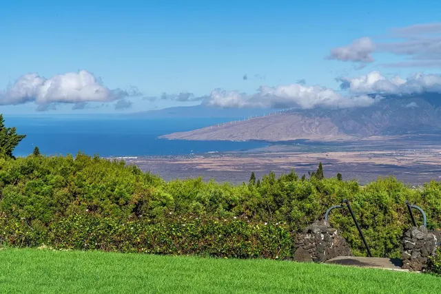 a view of a garden with an ocean