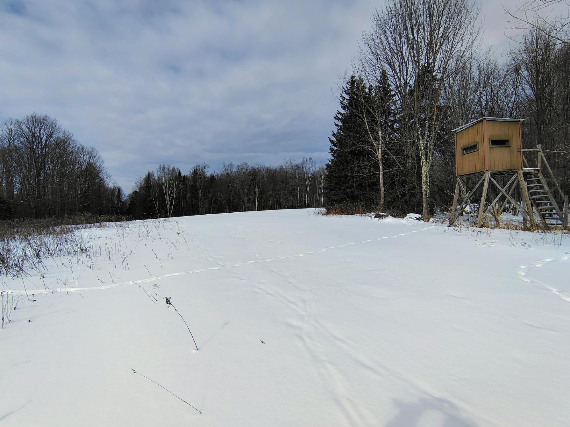 On Kenneys Road, Unit 40 ACRES Butternut, WI 54514 - Photo 14 of 22 Gallery Image 14