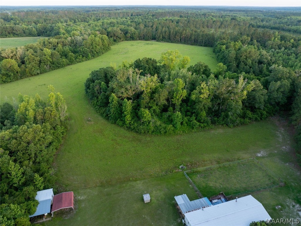 921 Mixon Miller Road Samson, AL 36477 - Photo 3 of 54 Gallery Image 3