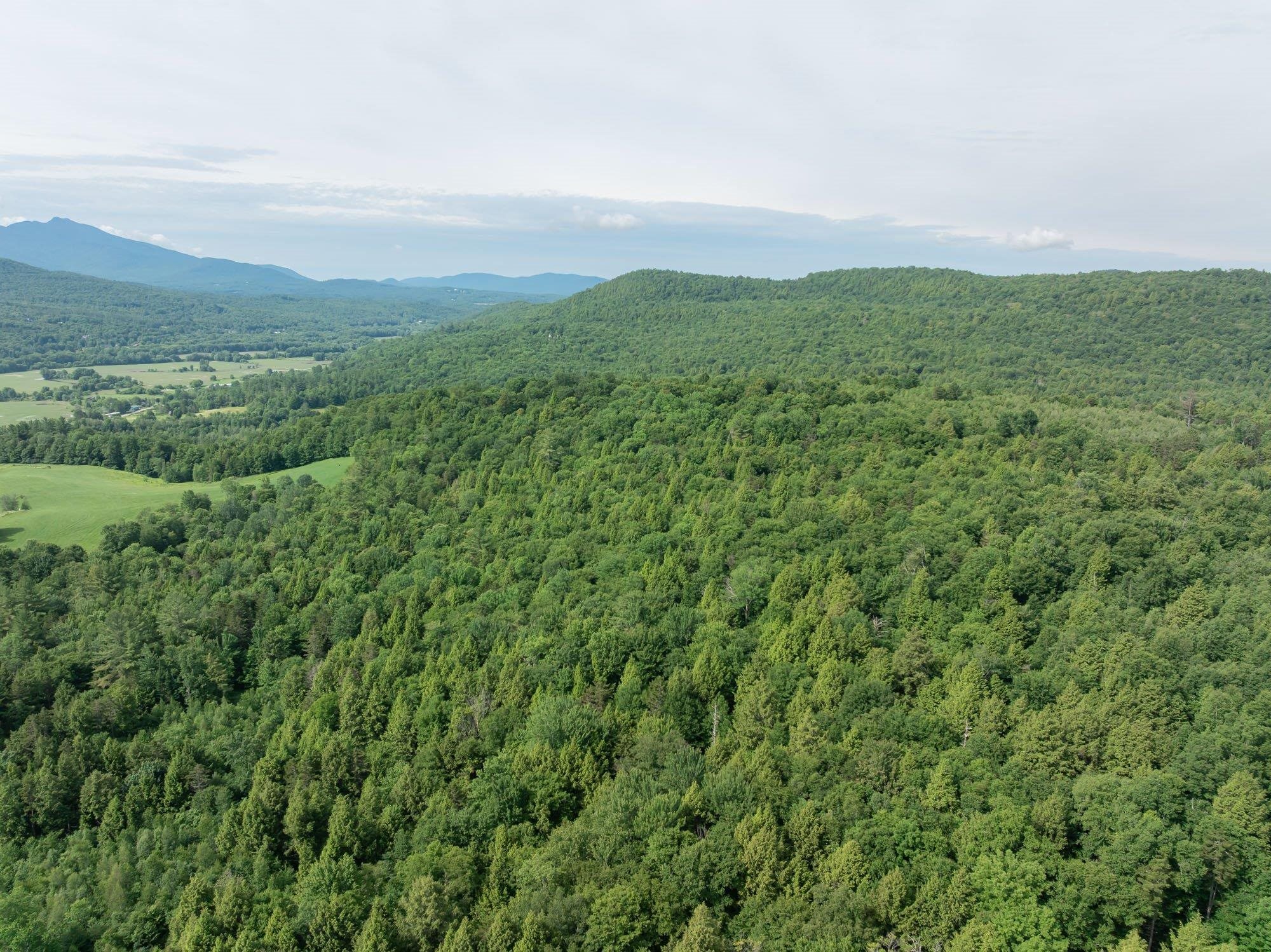 0 Birch Tree Lane, Unit LOT 1 Waterville, VT 05492 - Photo 7 of 13