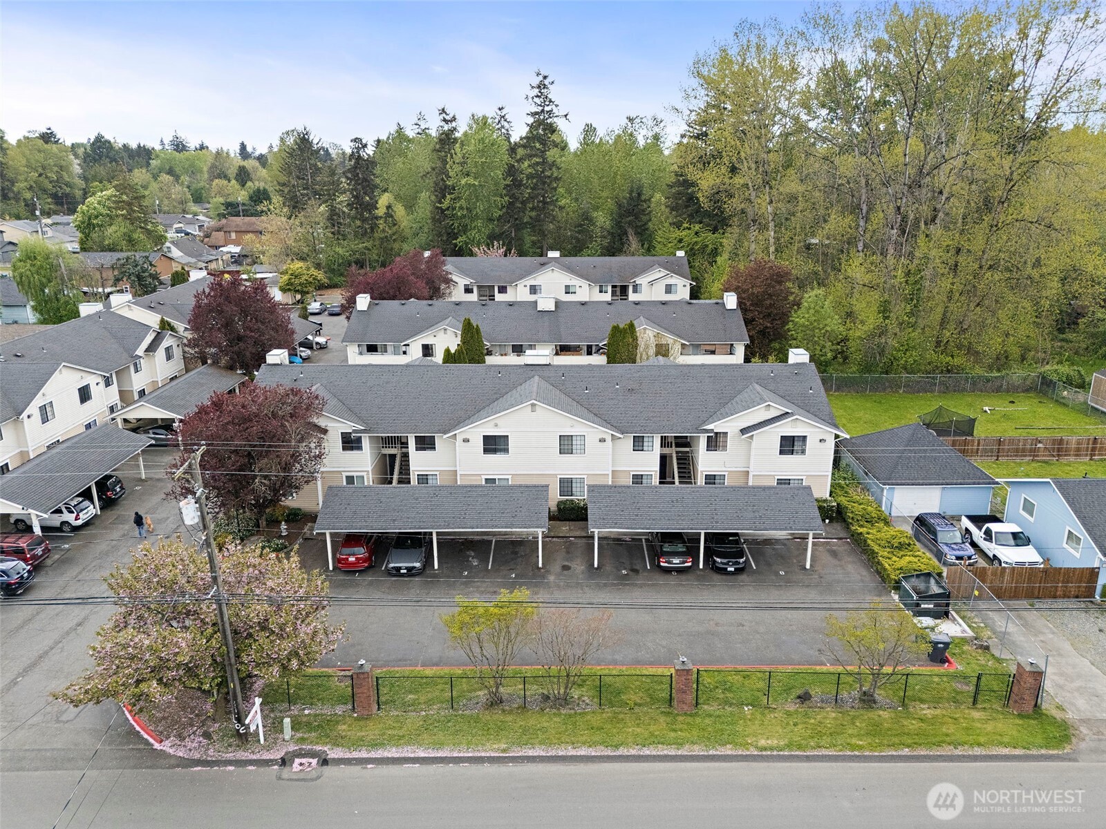 10010 Golden Given Road East, Unit 4 Tacoma, WA 98445 - Photo 16 of 19 a view of a big house with a big yard potted plants and large tree