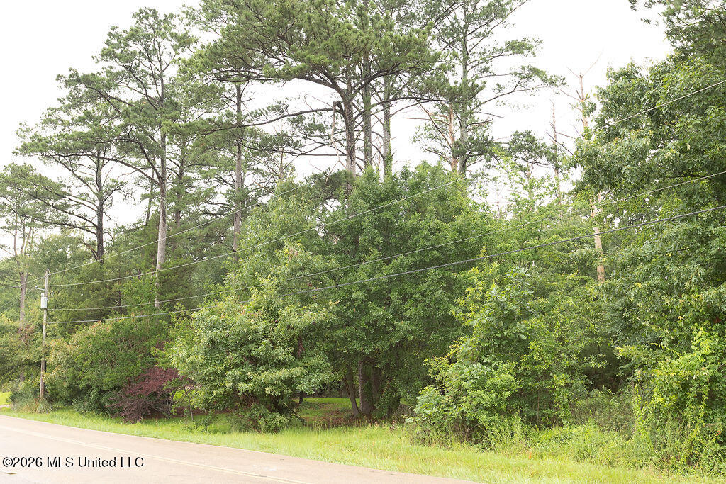 6450 Manship Road Brandon, MS 39047 - Photo 10 of 14 BH26_Manship_01--11