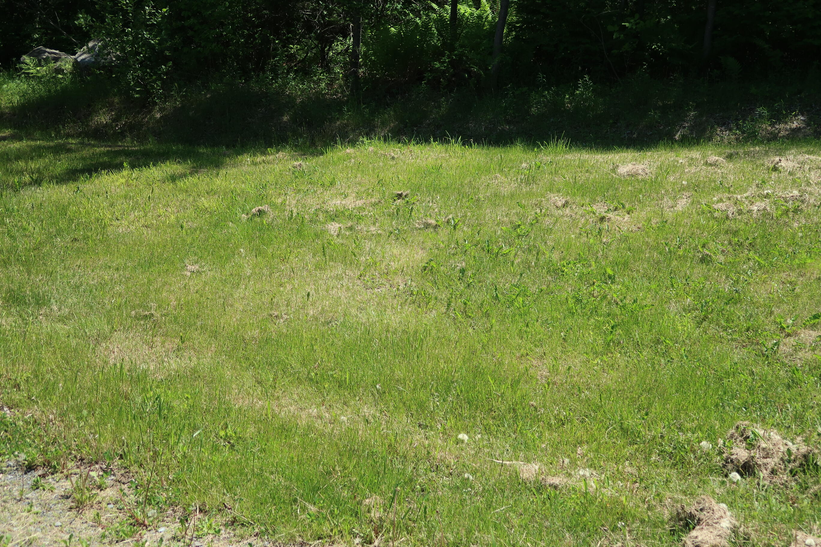 1070 Manchester Road Belgrade, ME 04917 - Photo 14 of 47 IMG_1769