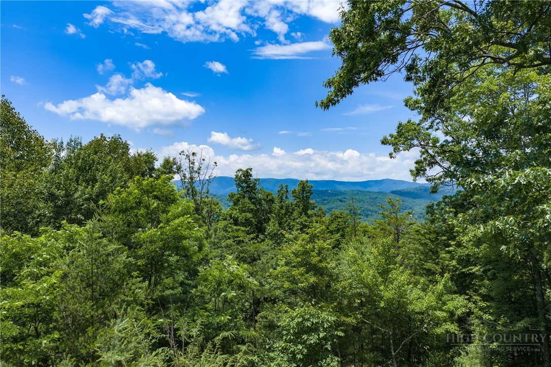 1987 Buck Mountain Road Purlear, NC 28665 - Photo 15 of 50
