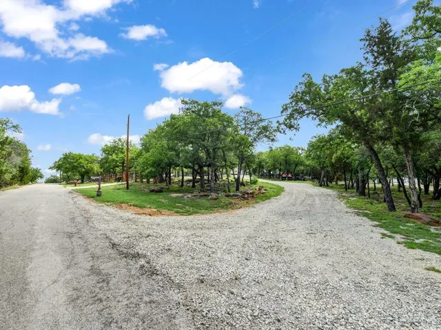 a view of a park with large trees