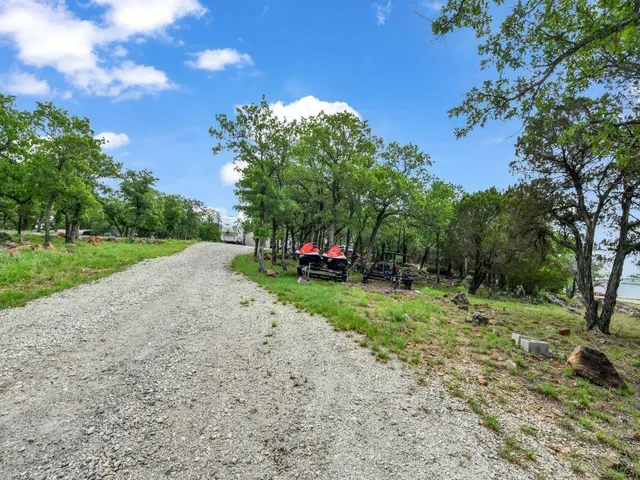 a view of a park with large trees