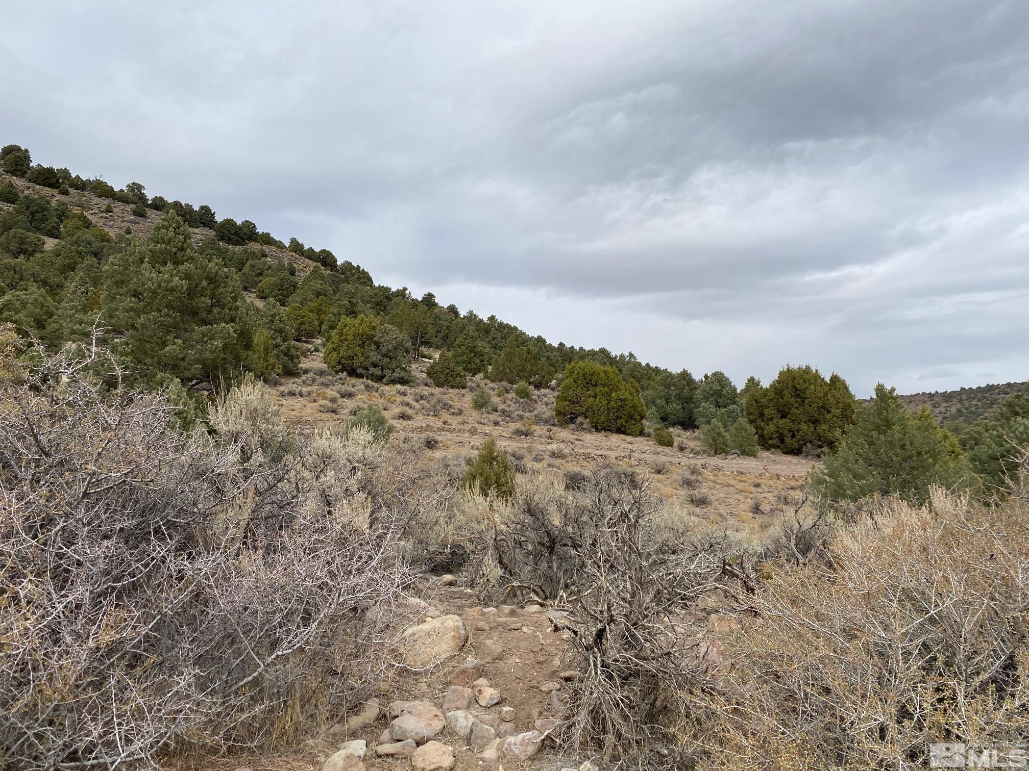 2340 Wild Rose Road, Unit 234 Reno, NV 89521 - Photo 4 of 4 a view of a dry field