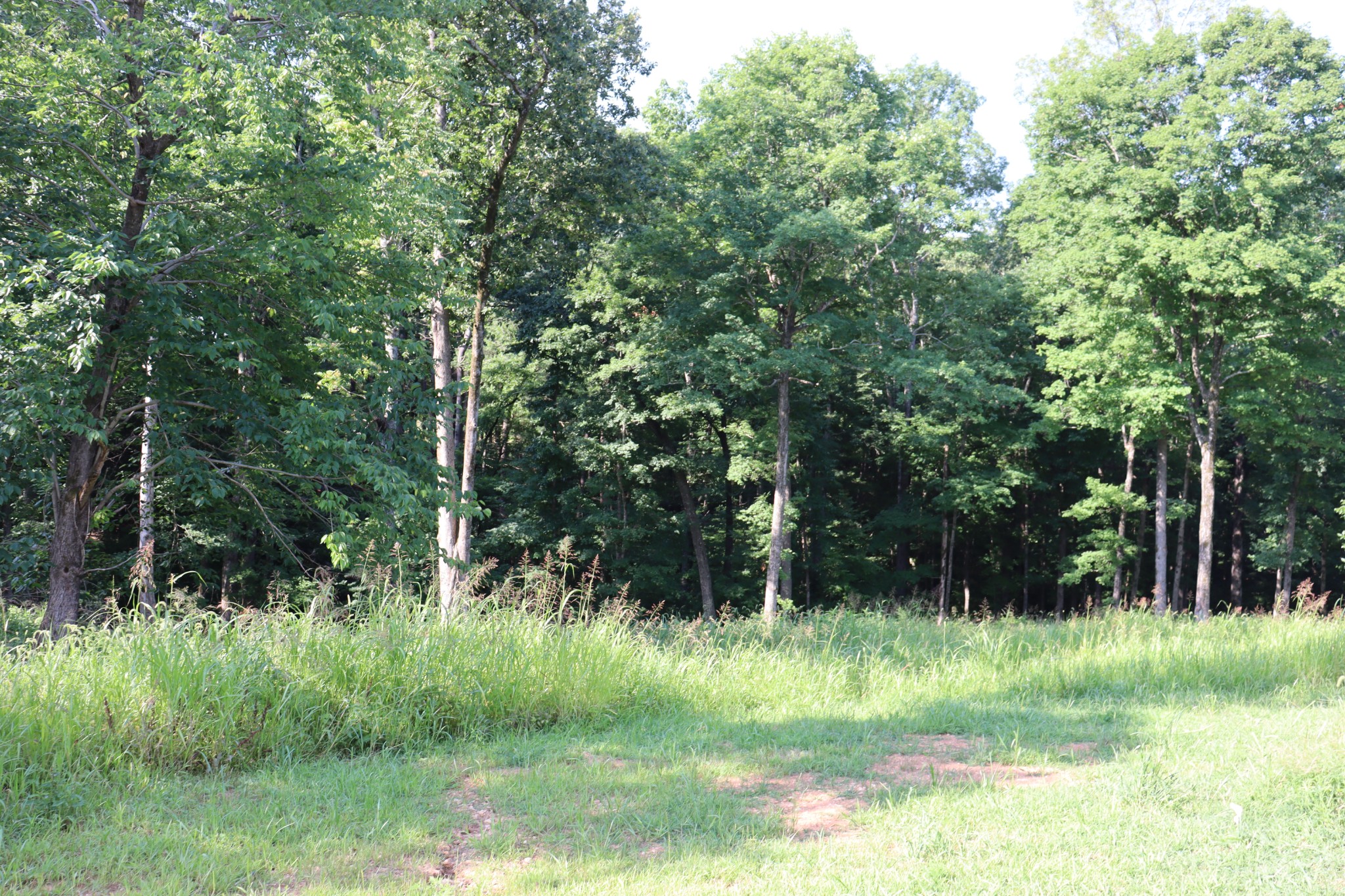 1534 Buck Ridge Cunningham, TN 37052 - Photo 38 of 66