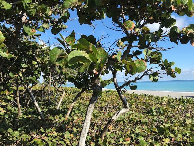 1420 Ocean Way, Unit 29A Jupiter, FL 33477 - Photo 38 of 39 IMG_1933