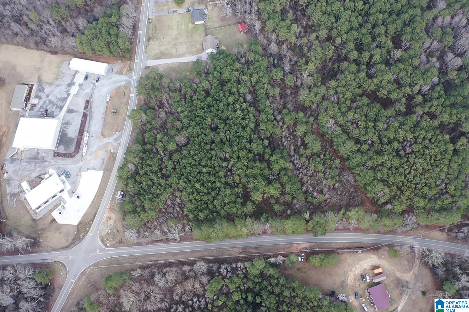 1689 Arkadelphia Road, Unit LOT 1 Warrior, AL 35180 - Photo 3 of 12