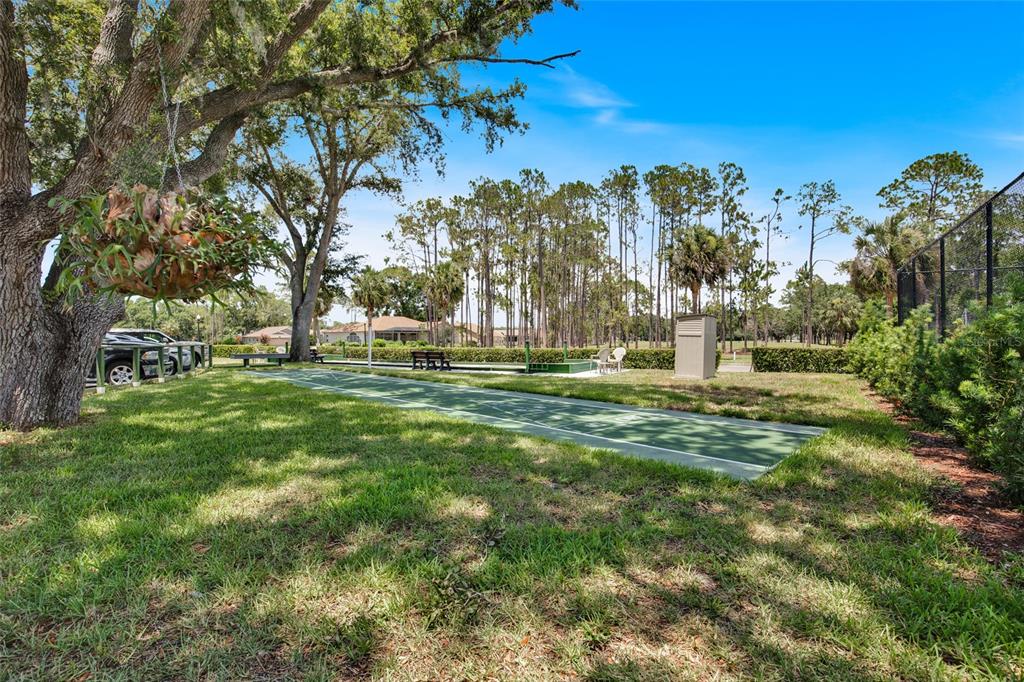 5930 Precious View Court New Port Richey, FL 34655 - Photo 53 of 54 Gallery Image 53