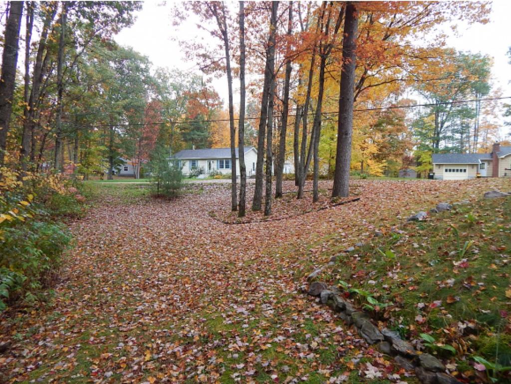 145 Fox Road Brandon, VT 05733 - Photo 5 of 14 Gallery Image 5
