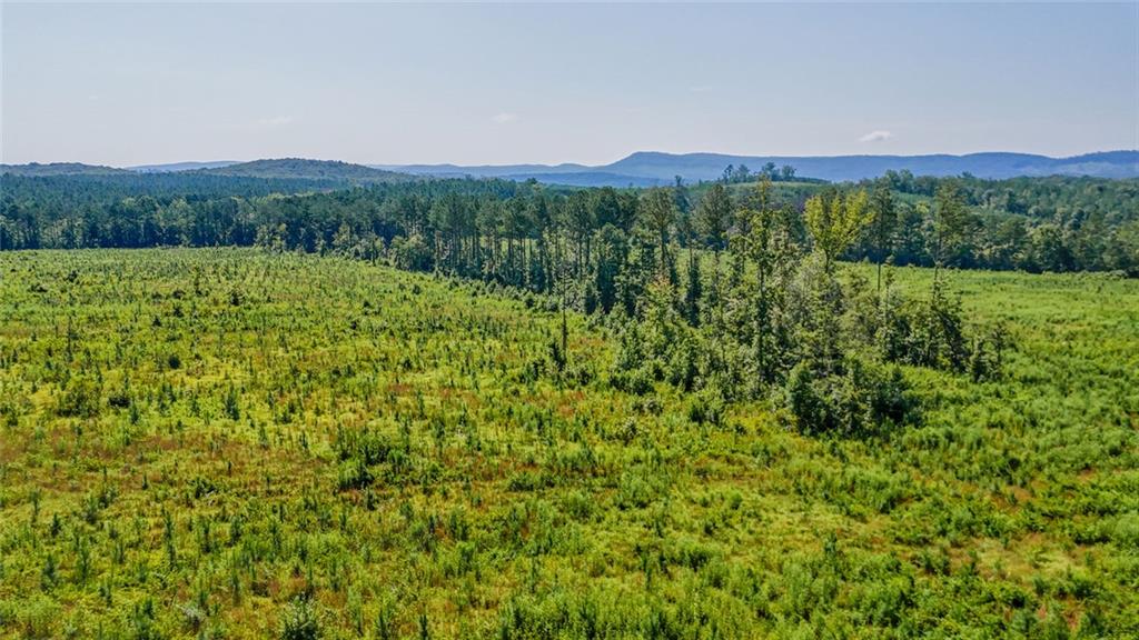 Lot 1 Back Valley Road Lyerly, GA 30730 - Photo 3 of 12