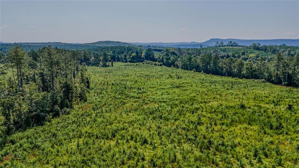 Lot 1 Back Valley Road Lyerly, GA 30730 - Photo 4 of 12