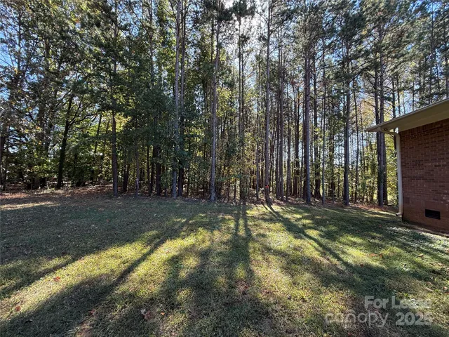 a view of a backyard with large trees