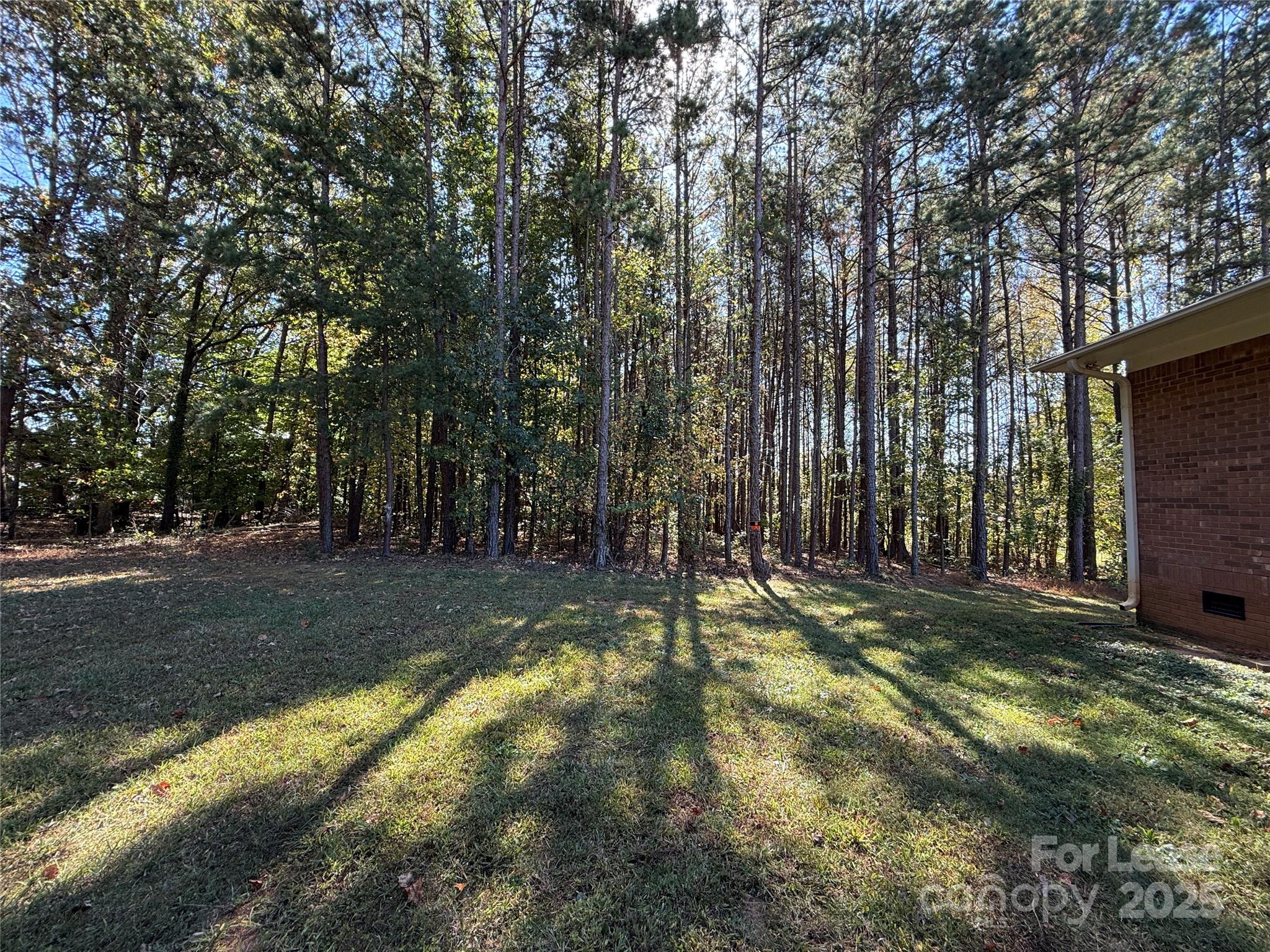 925 Perth Road Troutman, NC 28166 - Photo 31 of 31 a view of a backyard with large trees