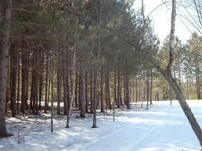 17502 Biggie Road Kaleva, MI 49645 - Photo 4 of 7 Additional Photo